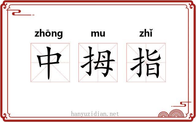 中拇指
