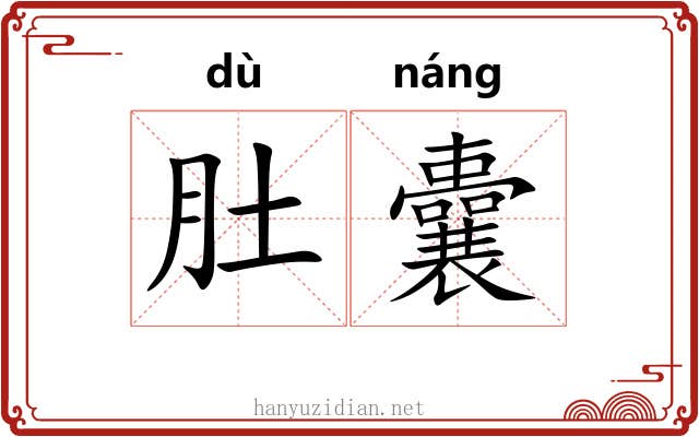 肚囊