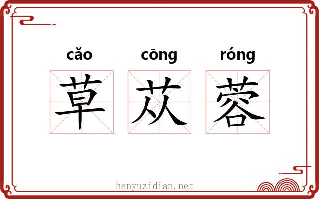 草苁蓉 草苁蓉