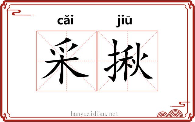 采揪
