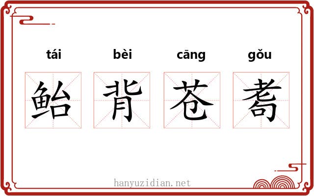 鲐背苍耈