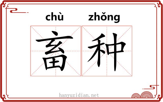 畜种 畜种