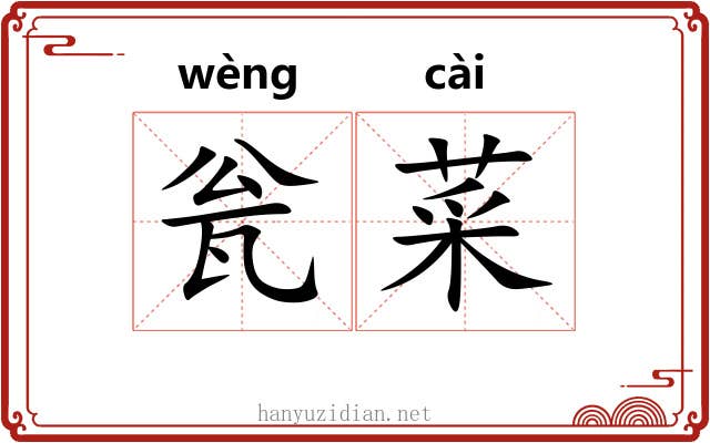 瓮菜