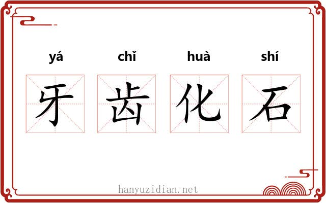 牙齿化石 牙齿化石