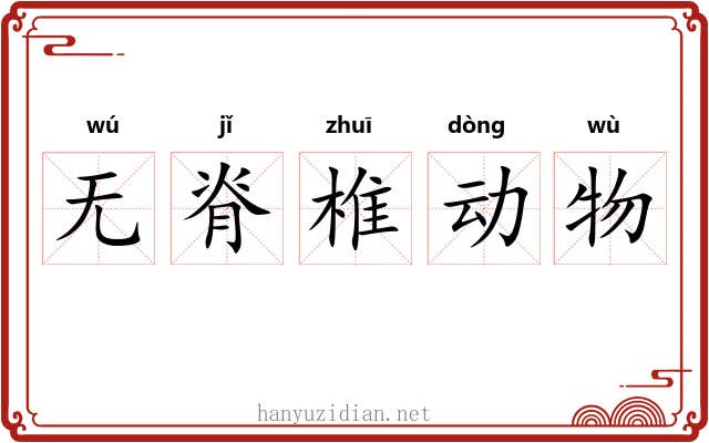 无脊椎动物 无脊椎动物