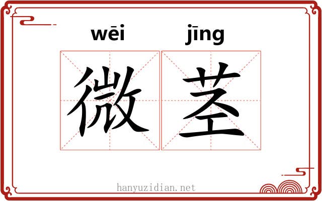 微茎