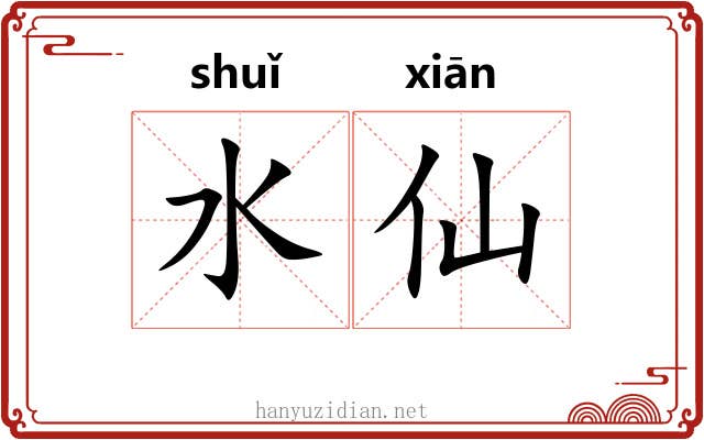 水仙 水仙