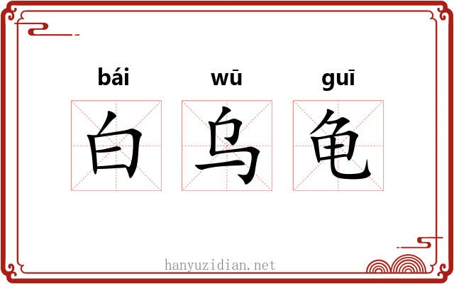 白乌龟 白乌龟