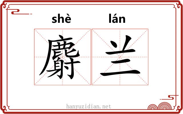 麝兰 麝兰