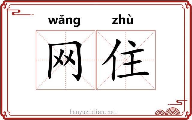 网住 网住