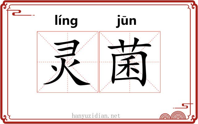 灵菌