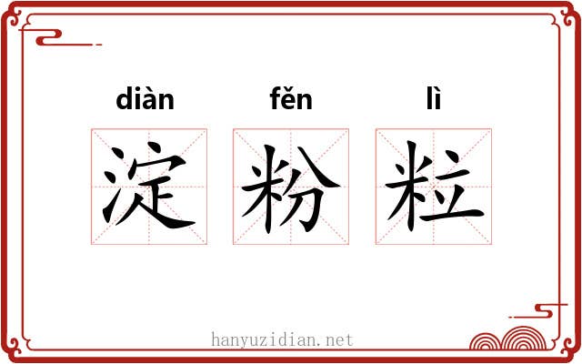 淀粉粒