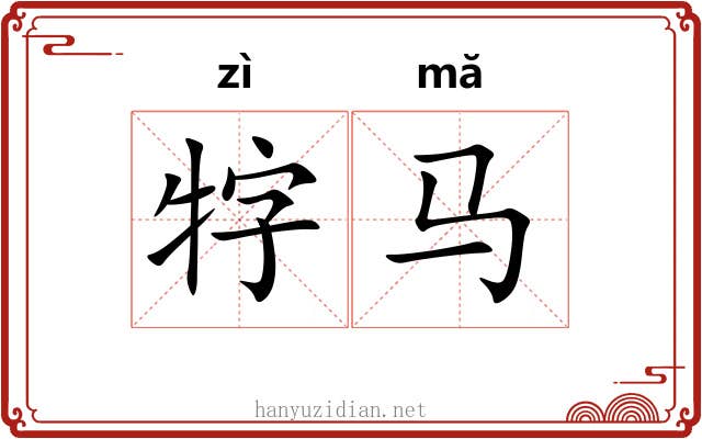 牸马