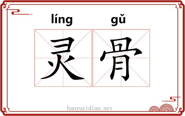灵骨 灵骨