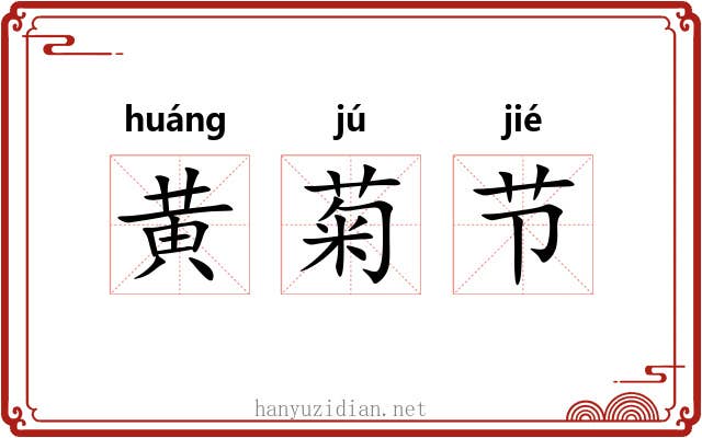 黄菊节