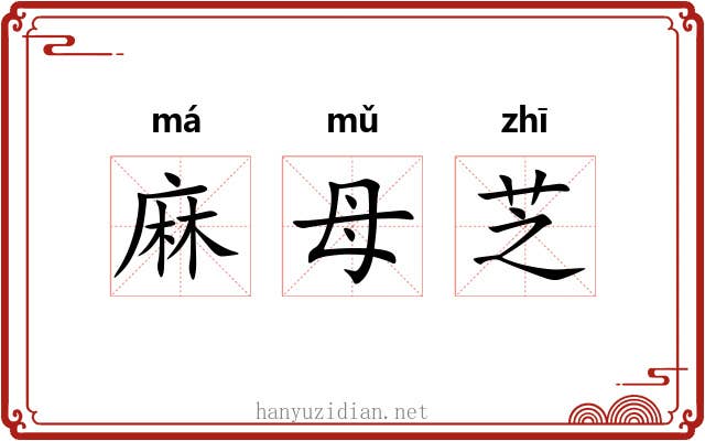 麻母芝 麻母芝