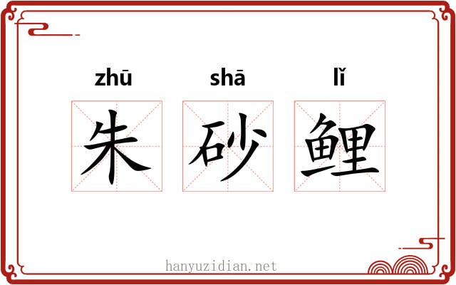 朱砂鲤 朱砂鲤