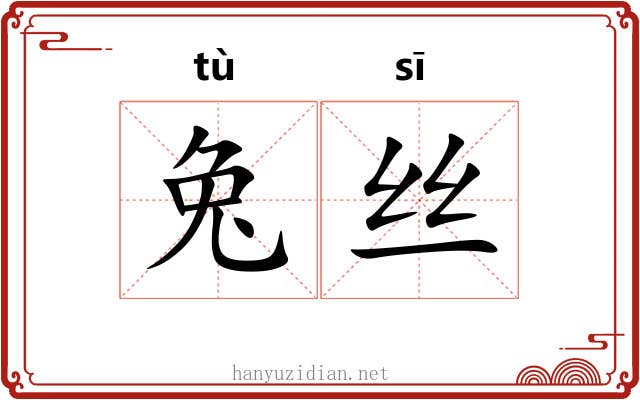 兔丝 兔丝