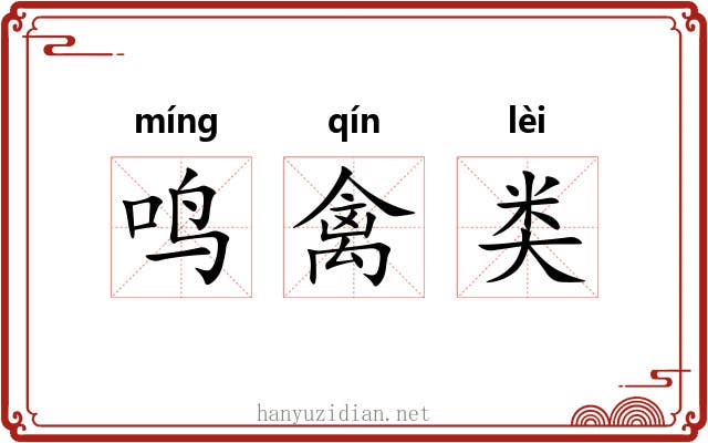 鸣禽类