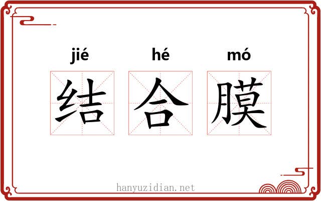 结合膜 结合膜