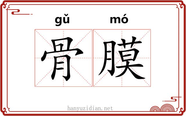 骨膜 骨膜