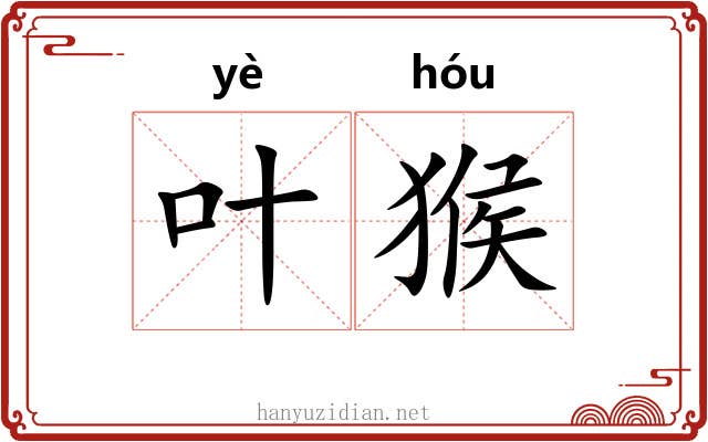 叶猴
