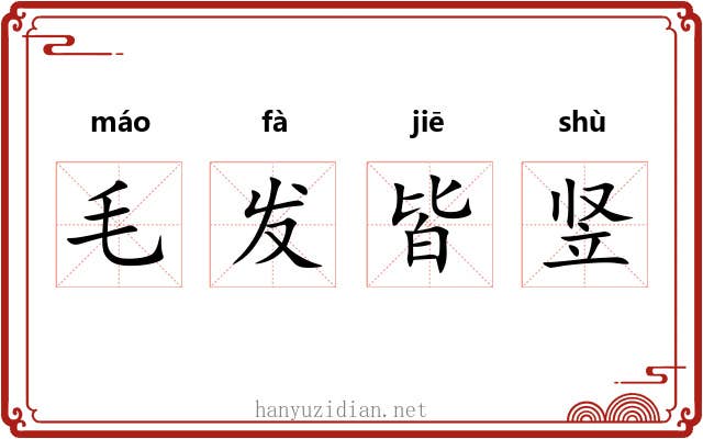 毛发皆竖
