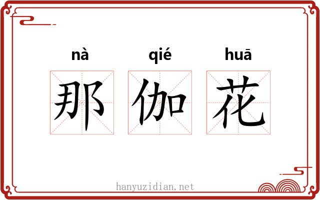 那伽花 那伽花