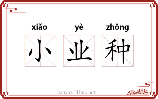 小业种 小业种