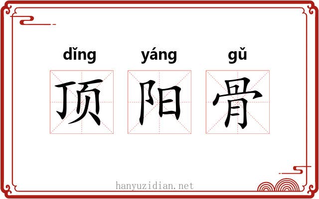 顶阳骨 顶阳骨