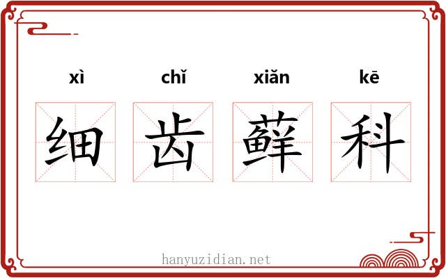 细齿藓科