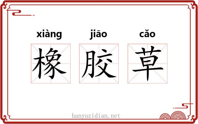 橡胶草