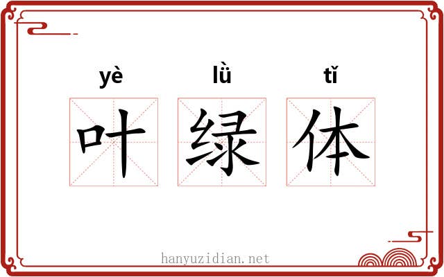 叶绿体 叶绿体