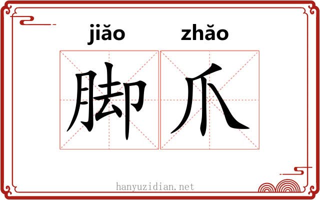 脚爪