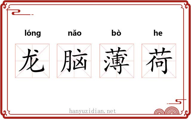 龙脑薄荷 龙脑薄荷