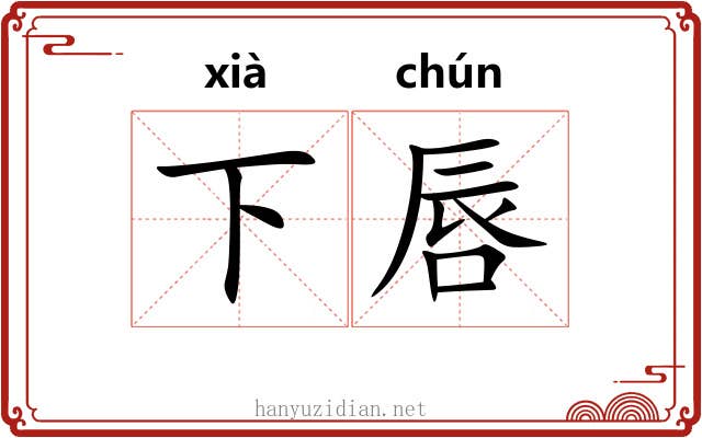 下唇 下唇