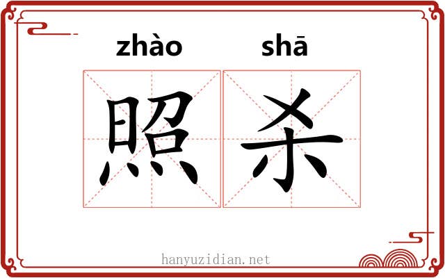照杀 照杀