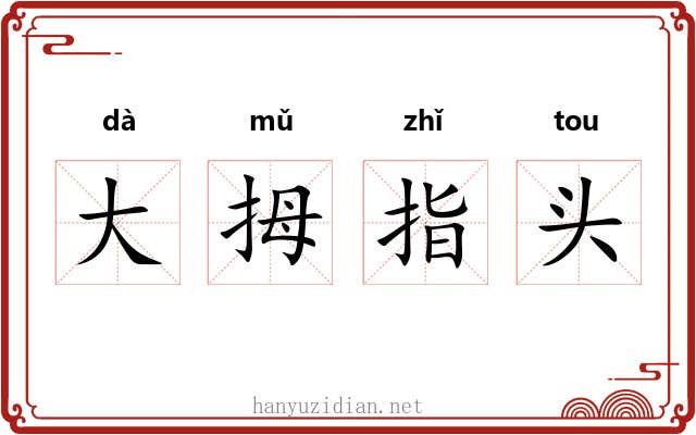 大拇指头 大拇指头