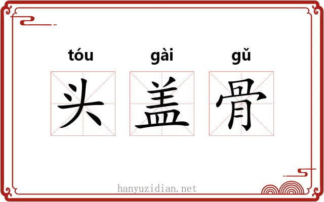 头盖骨