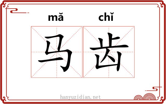 马齿 马齿