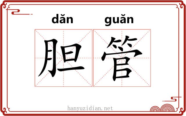 胆管 胆管