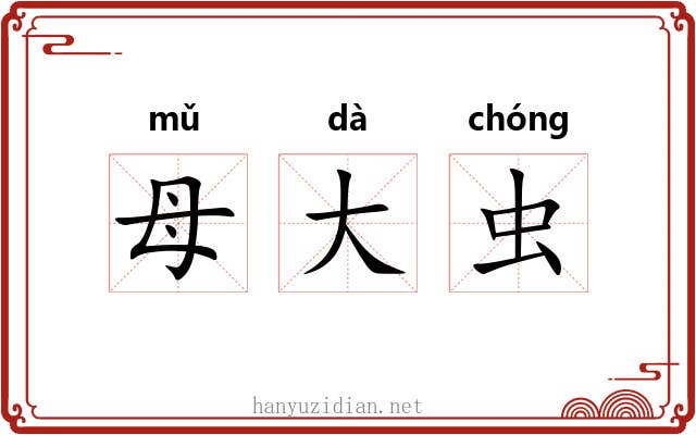 母大虫 母大虫