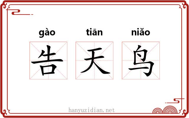 告天鸟 告天鸟