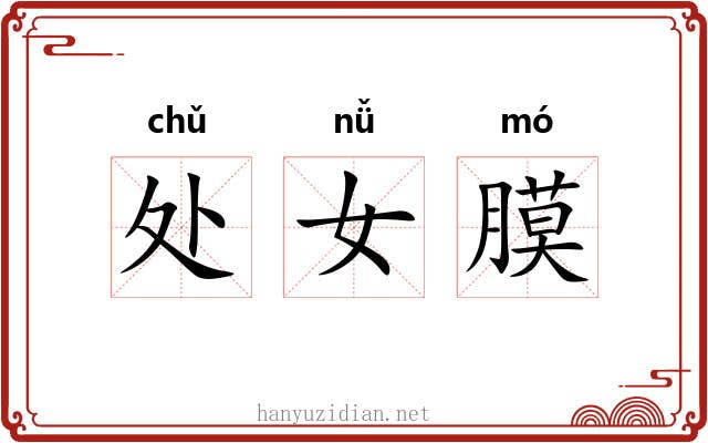 处女膜 处女膜
