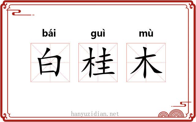 白桂木 白桂木