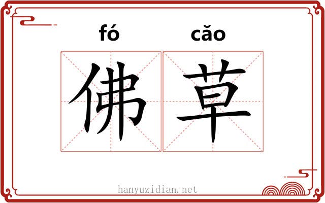 佛草 佛草
