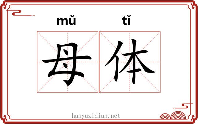 母体