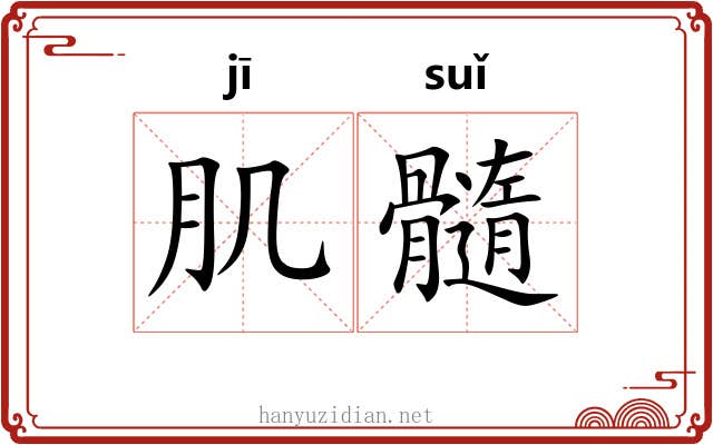 肌髓