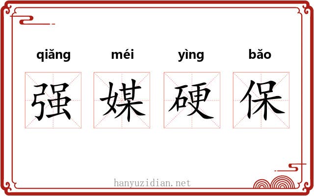 强媒硬保