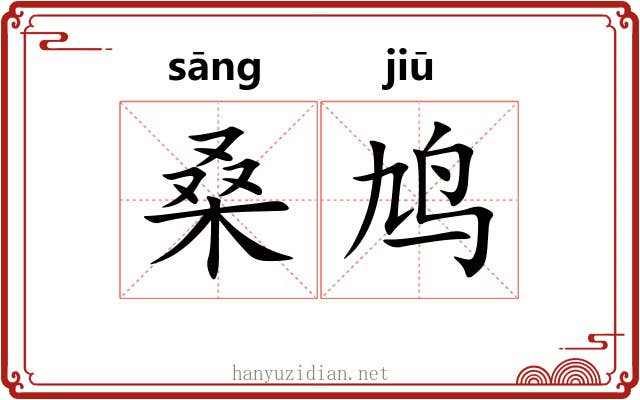 桑鸠